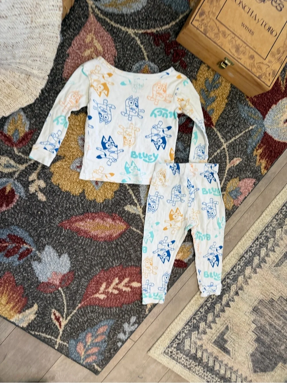 Bluey Pajamas Set 2T Toddler Long Sleeves Bluey with Family Print